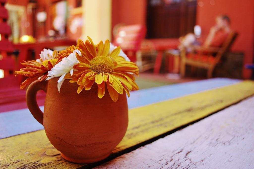 Jaguar House Hostel Cochabamba Kültér fotó